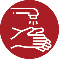 MicrosoftTeams-image (25)